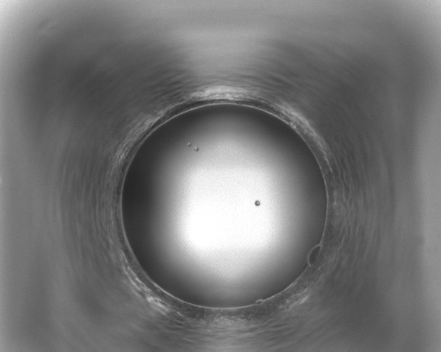 X0000066010529200603101559