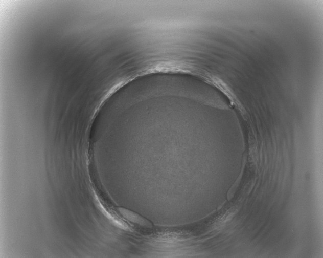 X0000066010530200603101559