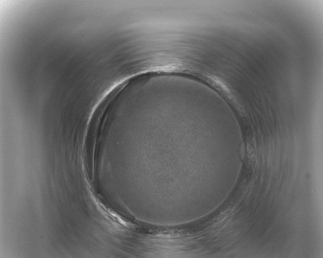 X0000066010532200603101559