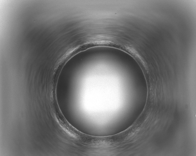 X0000066010533200603101559