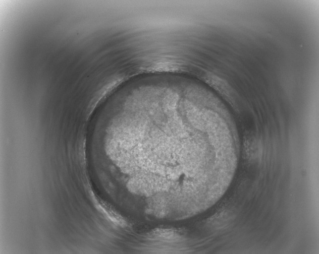 X0000066010534200603101559