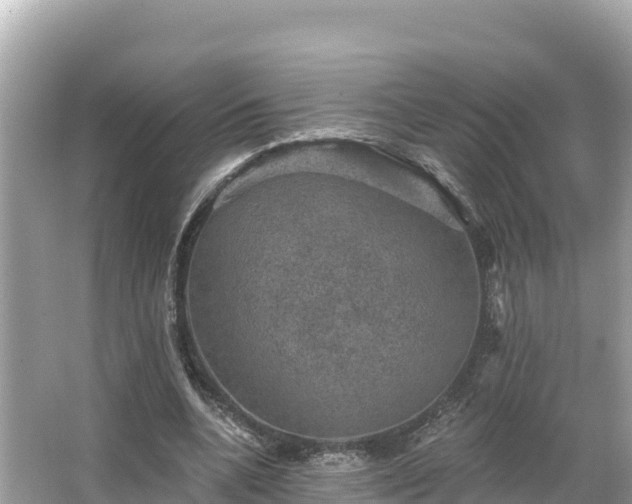 X0000066010536200603101559