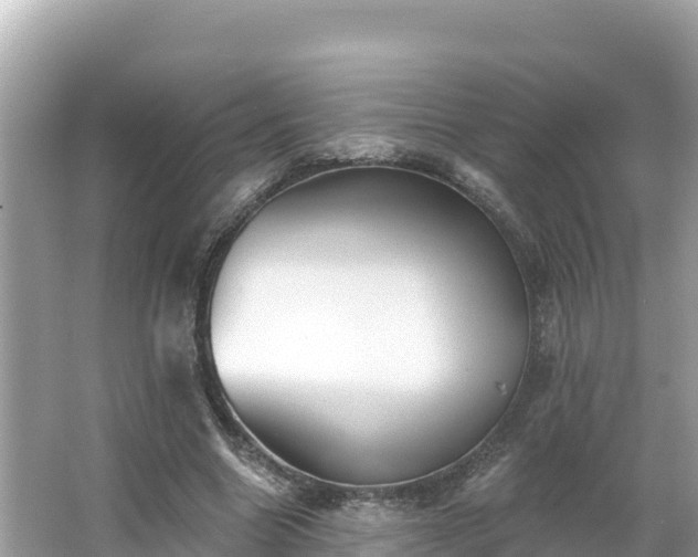 X0000066010538200603101559