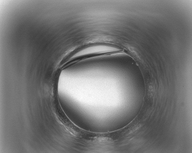 X0000066010539200603101559