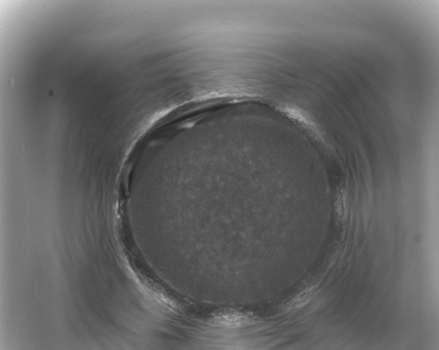 X0000066010540200603101559