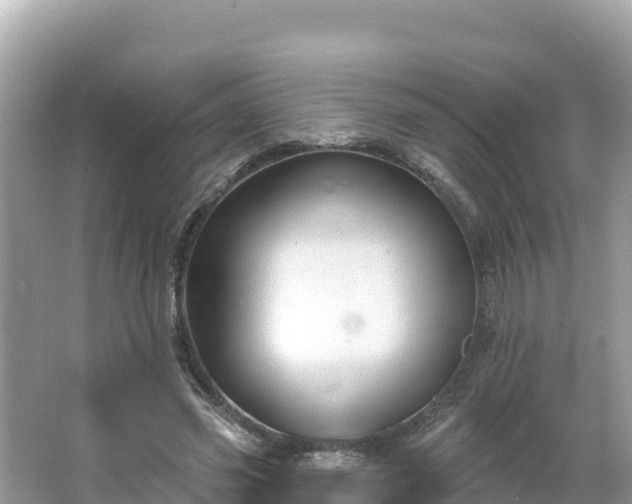 X0000066010541200603101559