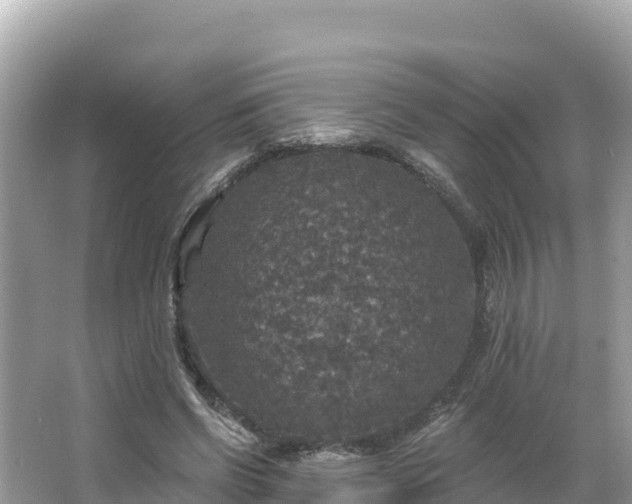 X0000066010542200603101559