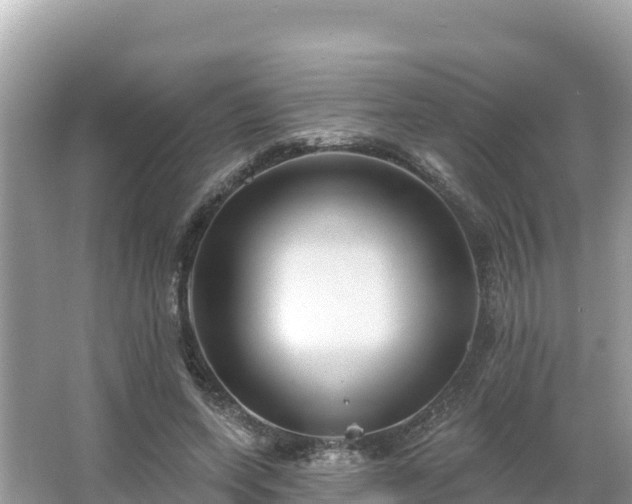 X0000066010543200603101559