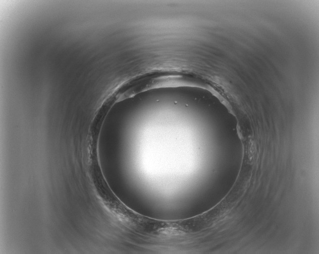 X0000066010544200603101559