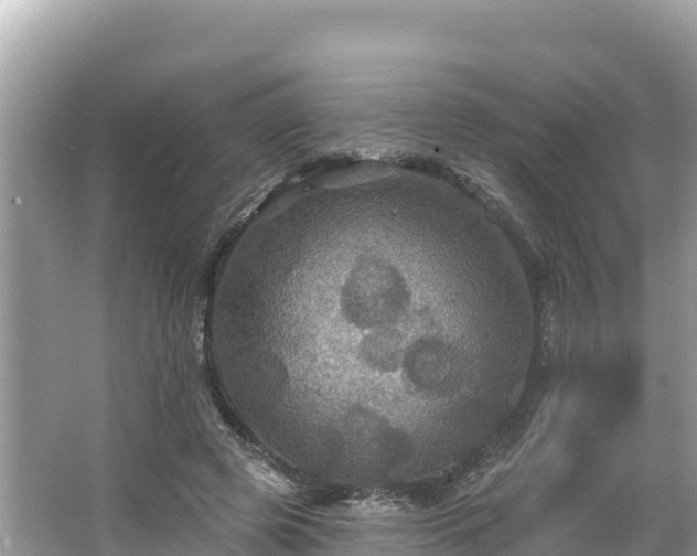 X0000066010545200603101559