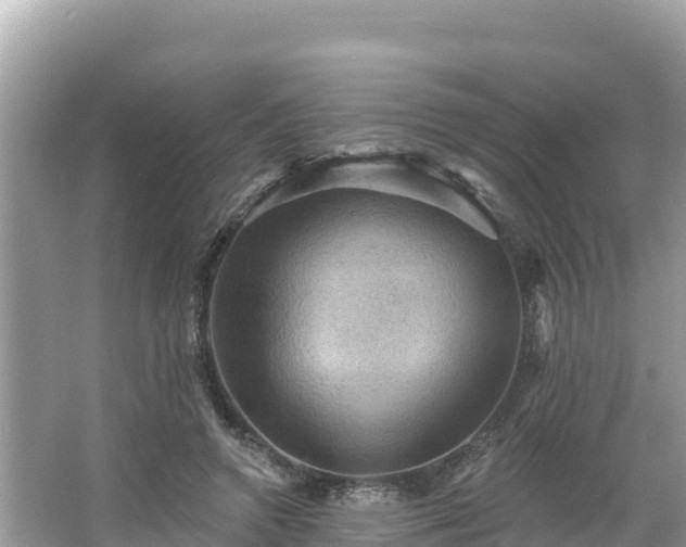 X0000066010546200603101559