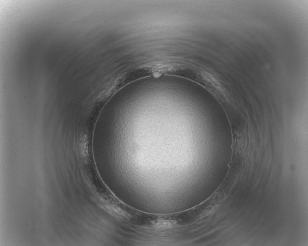 X0000066010549200603101559