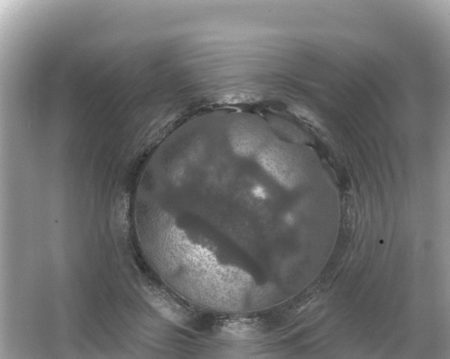 X0000066010550200603101559