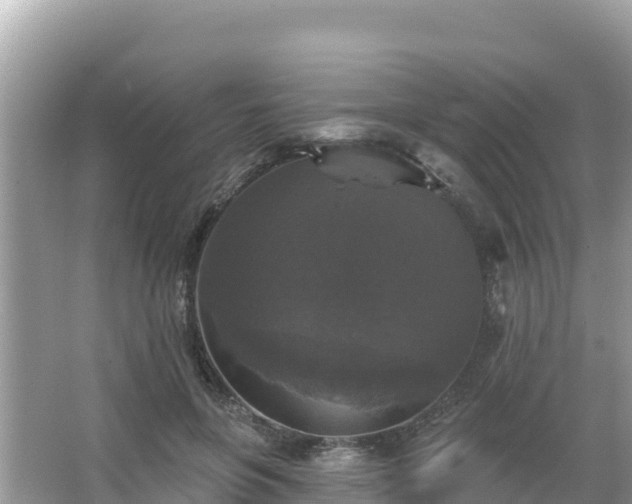 X0000066010551200603101559