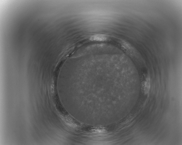 X0000066010552200603101559