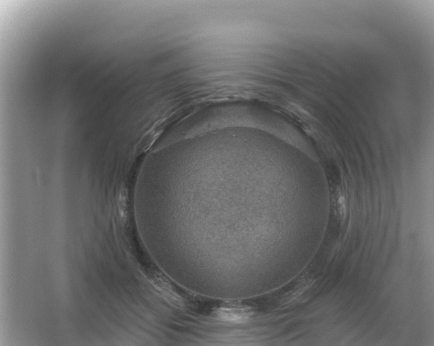 X0000066010556200603101559