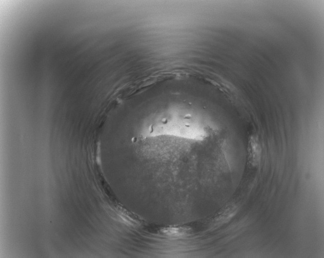 X0000066010558200603101559