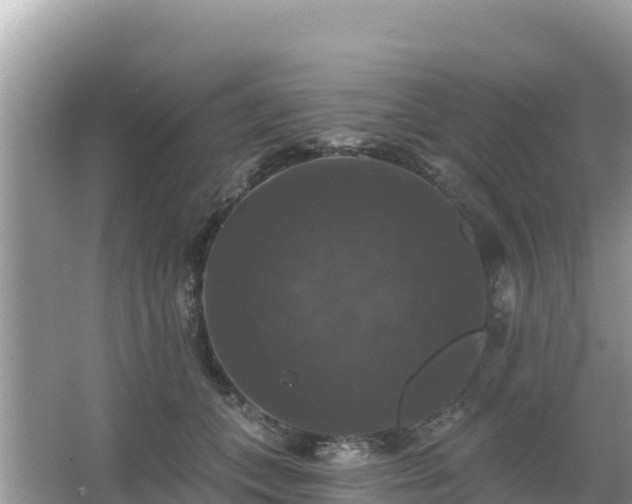 X0000066010559200603101559