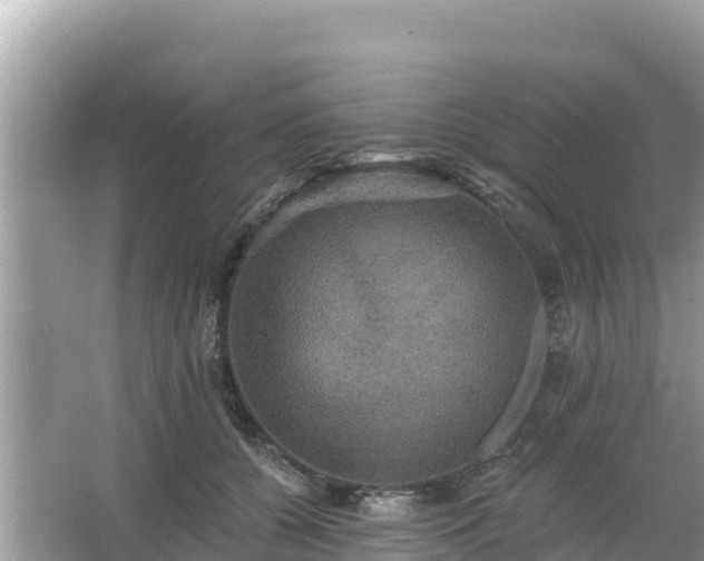 X0000066010560200603101559