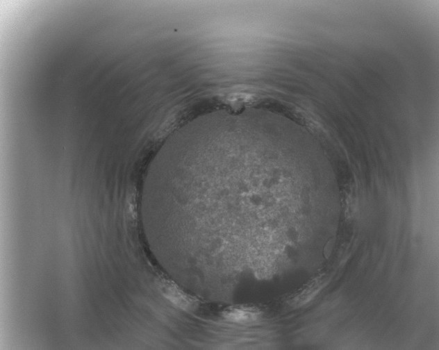 X0000066010561200603101559