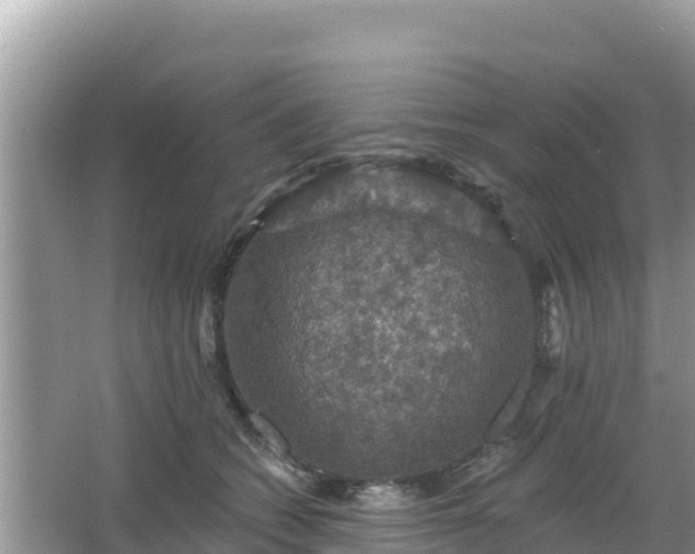 X0000066010562200603101559