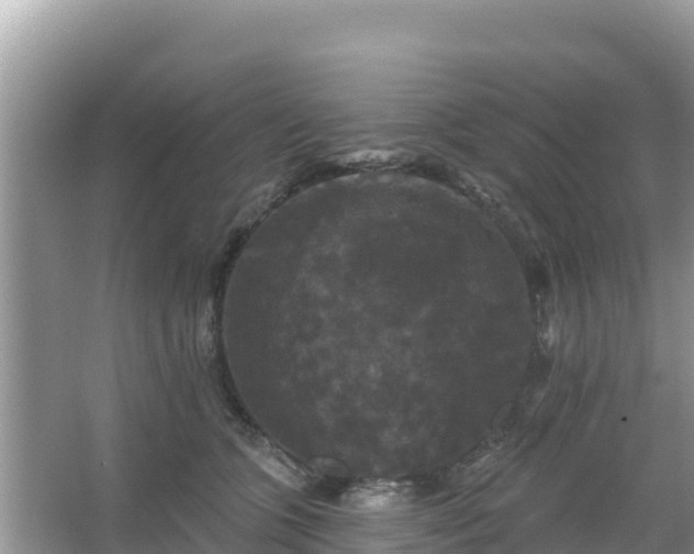 X0000066010563200603101559