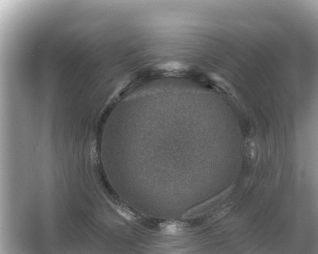 X0000066010564200603101559