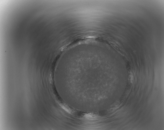 X0000066010568200603101600