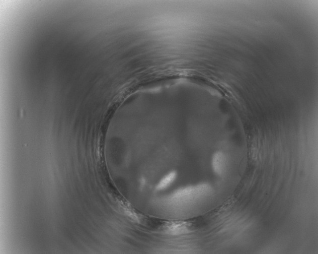 X0000066010569200603101600