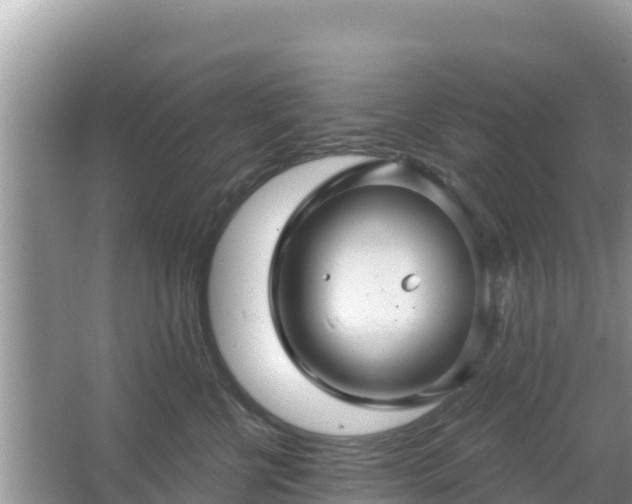 X0000066010570200603101600