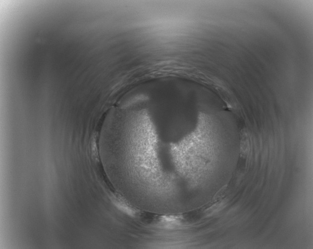 X0000066010573200603101600