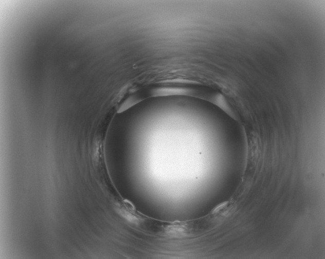 X0000066010574200603101600