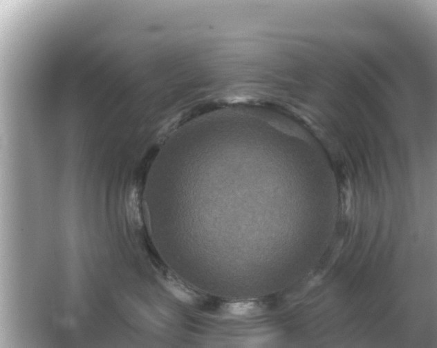 X0000066010575200603101600