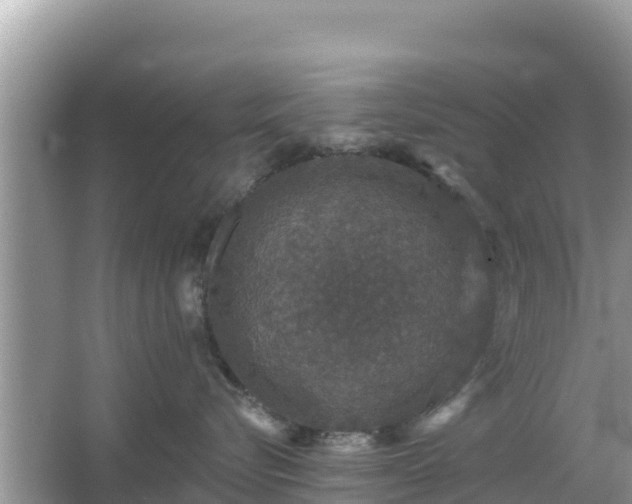 X0000066010576200603101600