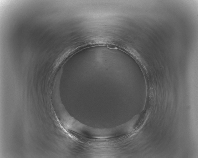 X0000066010577200603101559