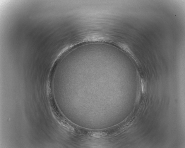 X0000066010579200603101559