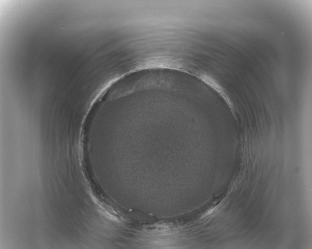 X0000066010580200603101559