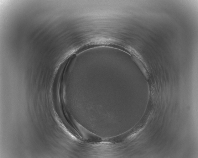 X0000066010581200603101559