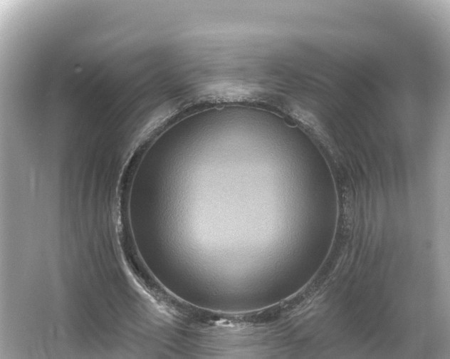 X0000066010582200603101559