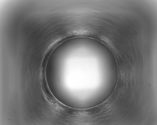 X0000066010583200603101559