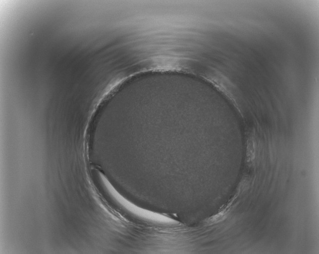 X0000066010584200603101559