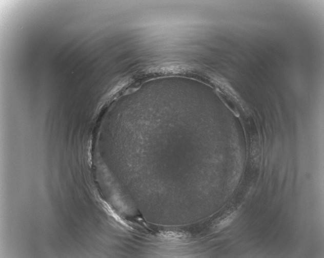 X0000066010585200603101559