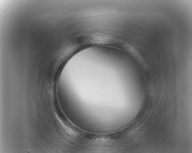 X0000066010586200603101559