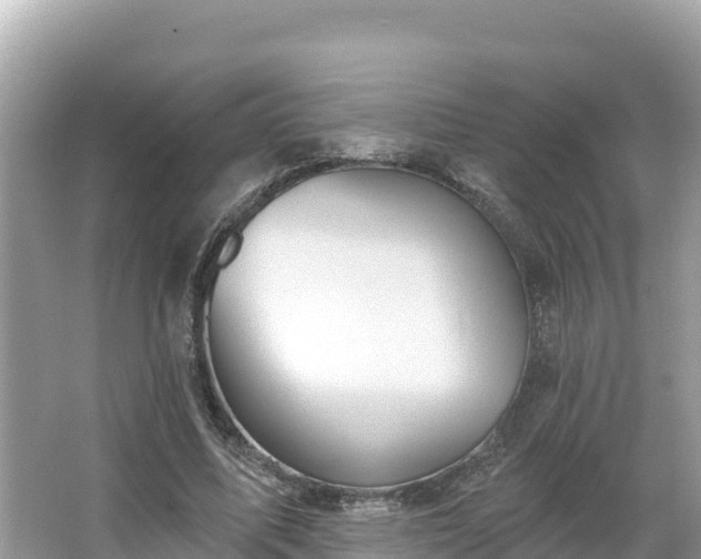 X0000066010587200603101559