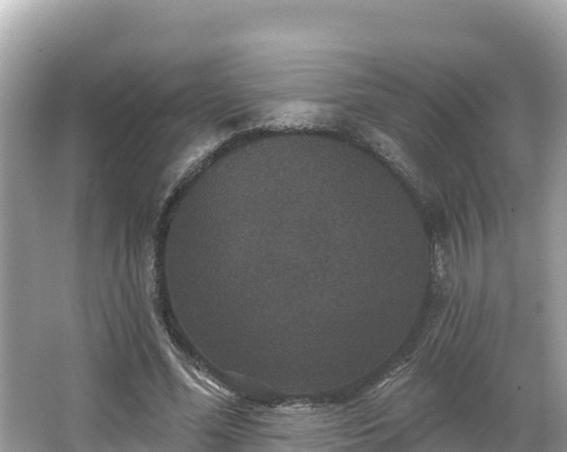 X0000066010588200603101559