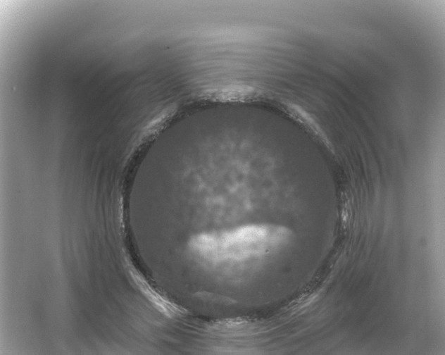 X0000066010589200603101559