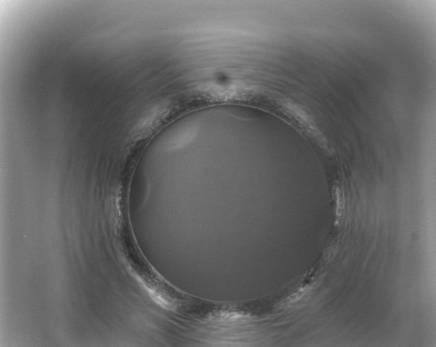 X0000066010590200603101559