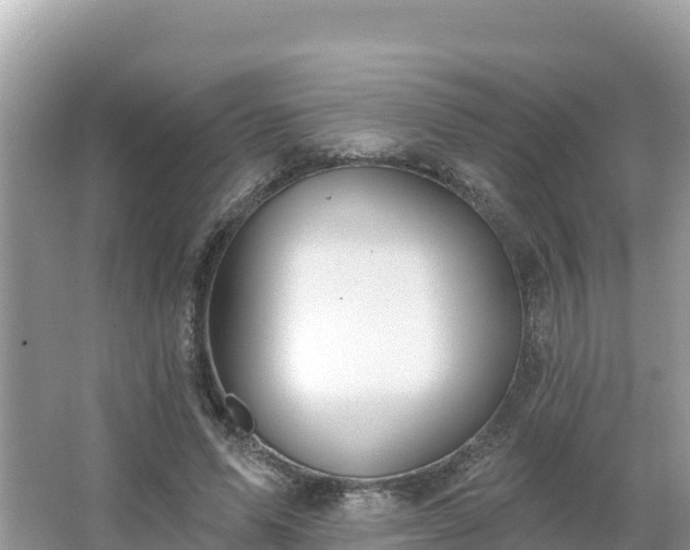 X0000066010591200603101559