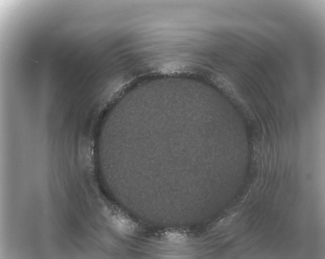 X0000066010592200603101559