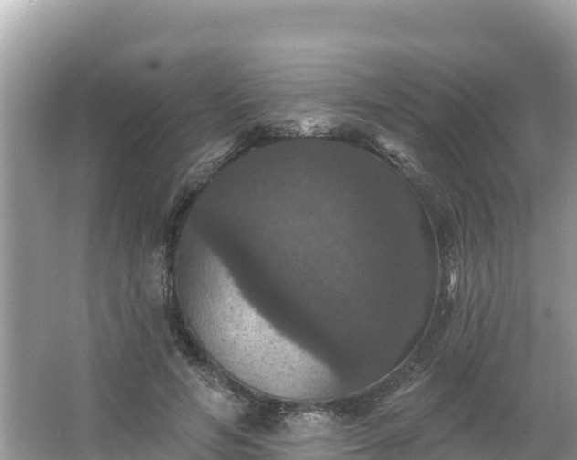 X0000066010594200603101559